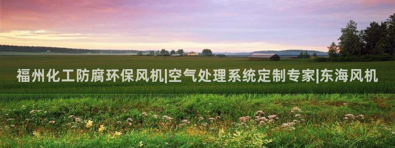 亿万先生游戏：福州化工防腐环保风机|空气处理系统定制专家|东海风机