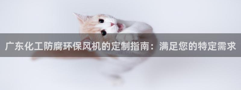 亿万先生是男是女：广东化工防腐环保风机的定制指南：满足您的特定需求