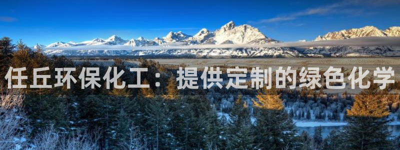 亿万首富手游：任丘环保化工：提供定制的绿色化学