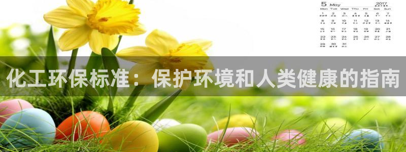 亿万笞人：化工环保标准：保护环境和人类健康的指南