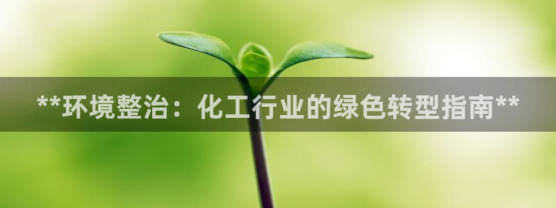 亿万网红：**环境整治：化工行业的绿色转型指南**