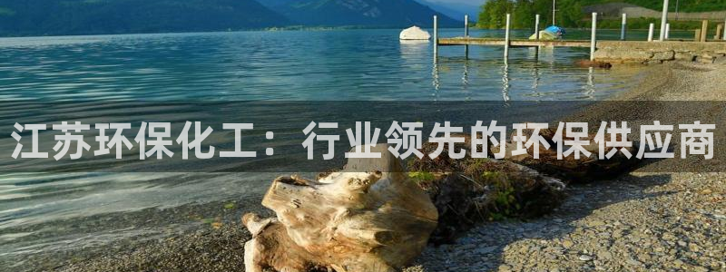 亿万先生手机网：江苏环保化工：行业领先的环保供应商