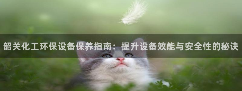 亿万同人字幕组的个人主页：韶关化工环保设备保养指南：提升设备效能与安全性的秘诀