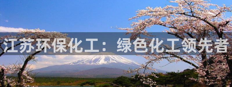 亿万先生合并最新消息：江苏环保化工：绿色化工领先者