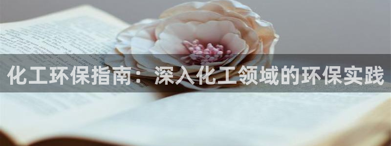 亿万 在线：化工环保指南：深入化工领域的环保实践