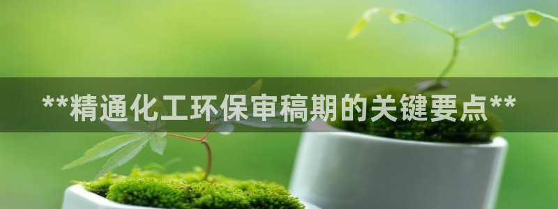 亿万网红：**精通化工环保审稿期的关键要点**