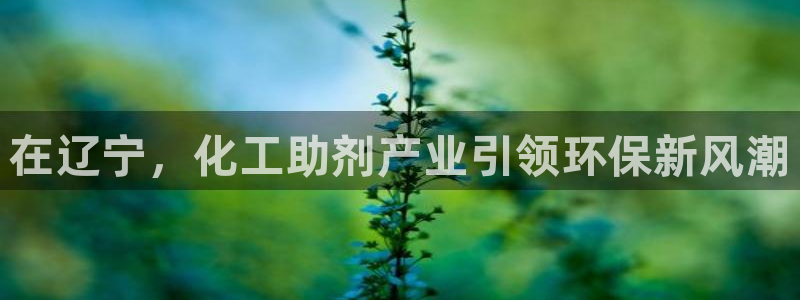 亿万剧集：在辽宁，化工助剂产业引领环保新风潮