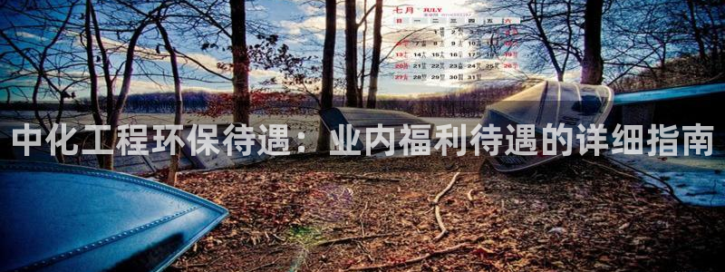 亿万网络科技有限公司：中化工程环保待遇：业内福利待遇的详细指南