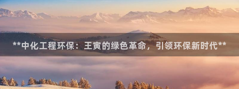 亿万集团有限公司：**中化工程环保：王寅的绿色革命，引领环保新时代**