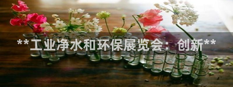 电影 亿万：**工业净水和环保展览会：创新**