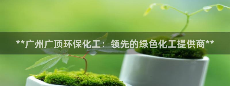 亿万先生合并网址是多少：**广州广顶环保化工：领先的绿色化工提供商**