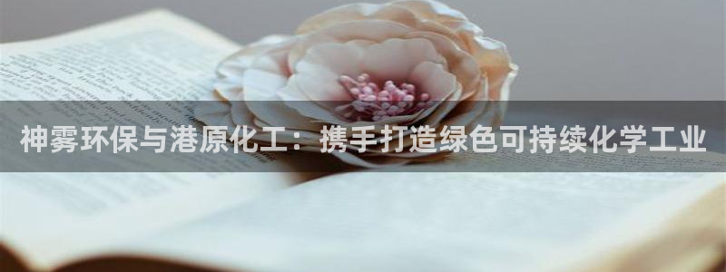 亿万先生 手机版下载最新版：神雾环保与港原化工：携手打造绿色可持续化学工业