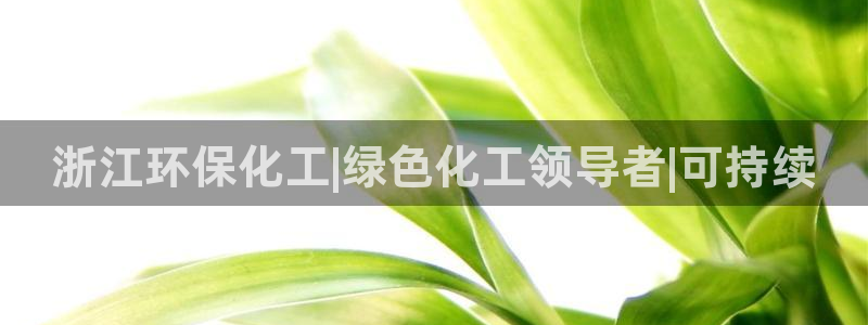 亿万先生 手机版下载安装：浙江环保化工|绿色化工领导者|可持续