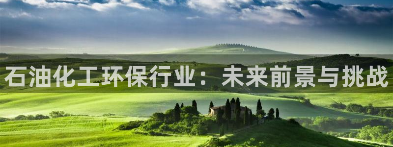 亿万首富手游：石油化工环保行业：未来前景与挑战