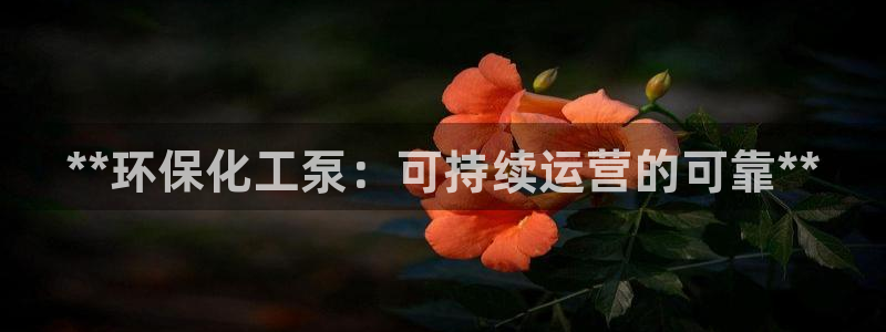 亿万官网手机登录：**环保化工泵：可持续运营的可靠**