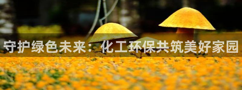 亿万先生网页在线客服：守护绿色未来：化工环保共筑美好家园