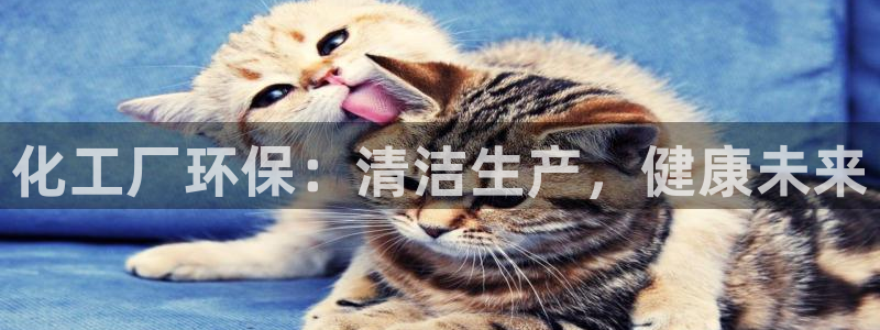 亿万先生网页版：化工厂环保：清洁生产，健康未来
