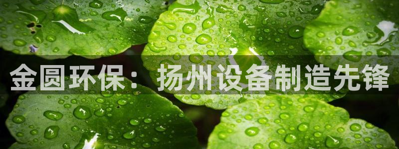 亿万集团有限公司：金圆环保：扬州设备制造先锋