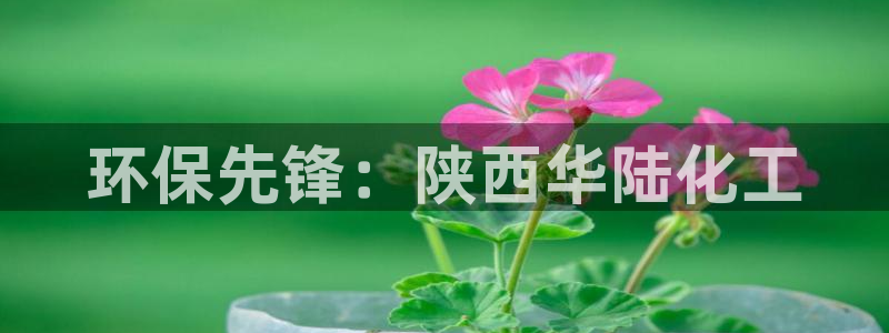 亿万第一集：环保先锋：陕西华陆化工