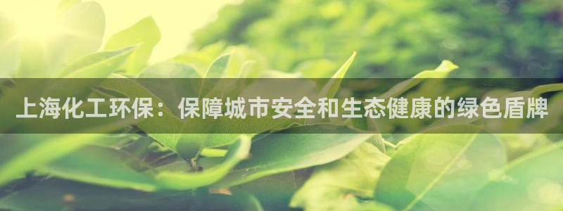 亿万官网字幕组官网下载：上海化工环保：保障城市安全和生态健康的绿色盾牌