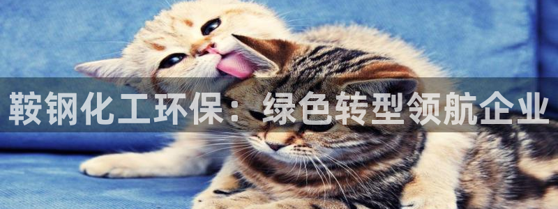 亿万官网字幕：鞍钢化工环保：绿色转型领航企业