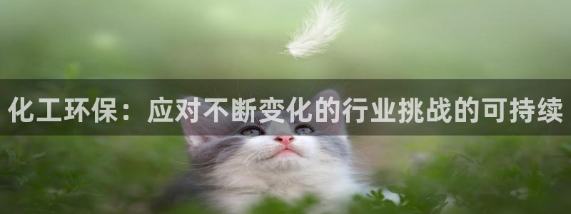 亿万先生首页：化工环保：应对不断变化的行业挑战的可持续