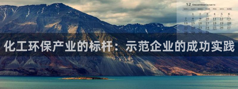 亿万啥意思：化工环保产业的标杆：示范企业的成功实践