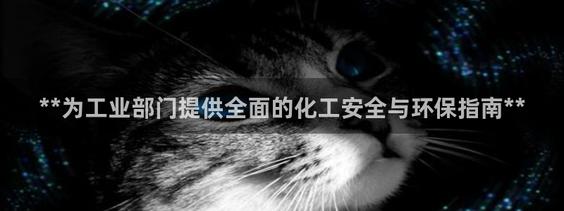 亿万先生 手机版下载最新版：**为工业部门提供全面的化工安全与环保指南**