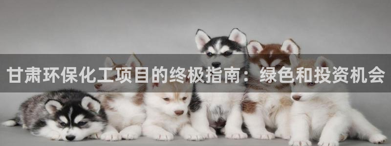 电视剧亿万：甘肃环保化工项目的终极指南：绿色和投资机会