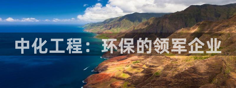 亿万先生手机版入口在哪看：中化工程：环保的领军企业