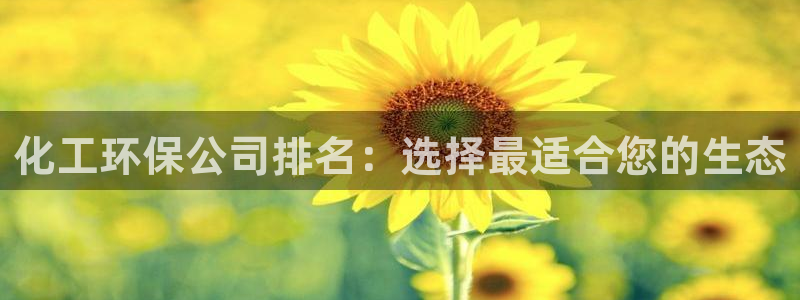 亿万先生合并网址是多少：化工环保公司排名：选择最适合您的生态