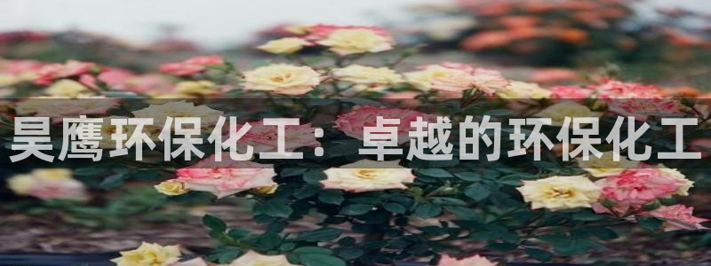 亿万先生网页在线客服：昊鹰环保化工：卓越的环保化工