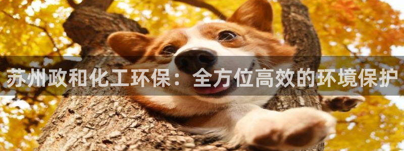 亿万国际游戏官网手机版：苏州政和化工环保：全方位高效的环境保护