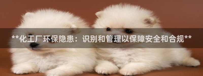 亿万28下载地址：**化工厂环保隐患：识别和管理以保障安全和合规**