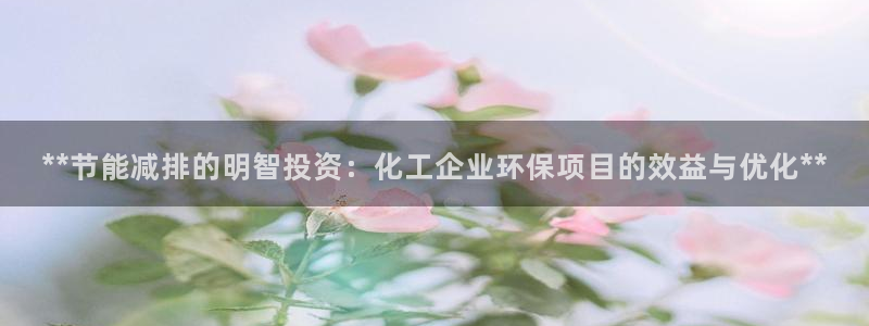 亿万视频：**节能减排的明智投资：化工企业环保项目的效益与优化**