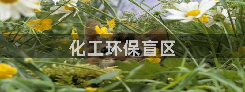 亿万视频：化工环保盲区