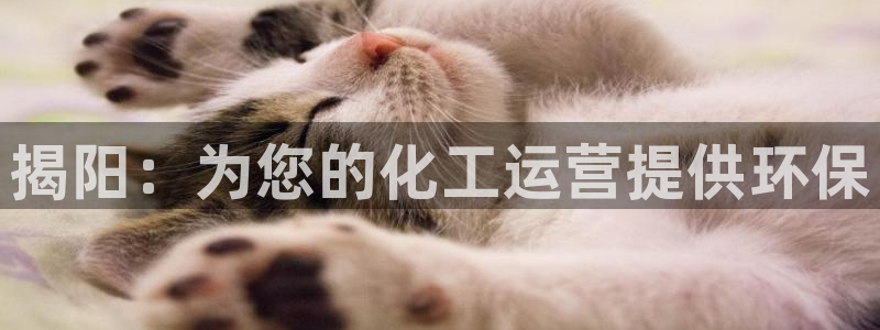 亿万国际app：揭阳：为您的化工运营提供环保