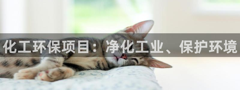 亿万剧情详解：化工环保项目：净化工业、保护环境