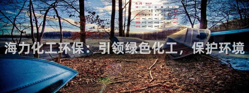 亿万网络科技有限公司ceo：海力化工环保：引领绿色化工，保护环境