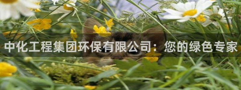 亿万先生客户端