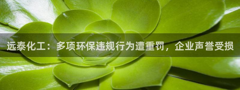 亿万先生网址改了吗：远泰化工：多项环保违规行为遭重罚，企业声誉受损