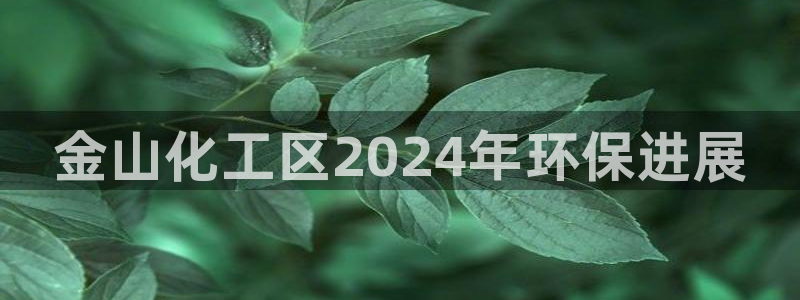 亿万百度贴吧：金山化工区2024年环保进展