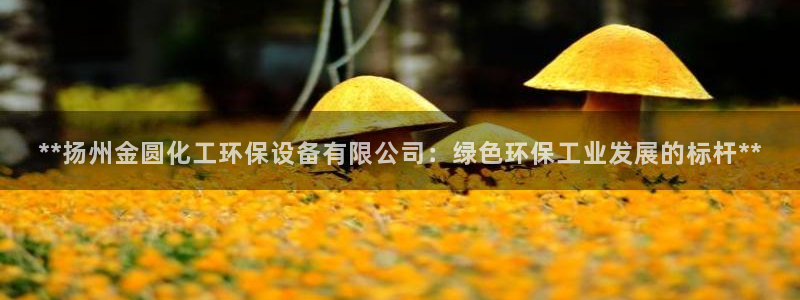 亿万剪辑：**扬州金圆化工环保设备有限公司：绿色环保工业发展的标杆**