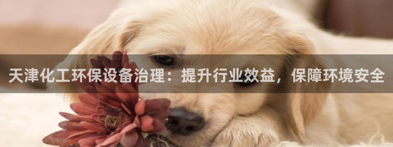 亿万先生客服联系：天津化工环保设备治理：提升行业效益，保障环境安全