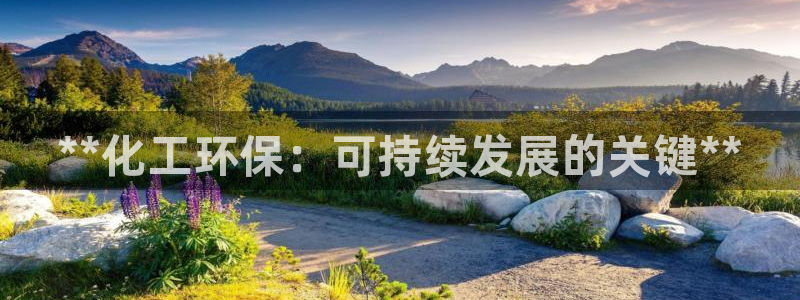 亿万官网字幕组官网下载：**化工环保：可持续发展的关键**