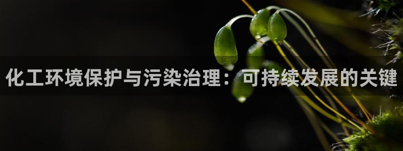 亿万先生手机版入口在哪下载：化工环境保护与污染治理：可持续发展的关键