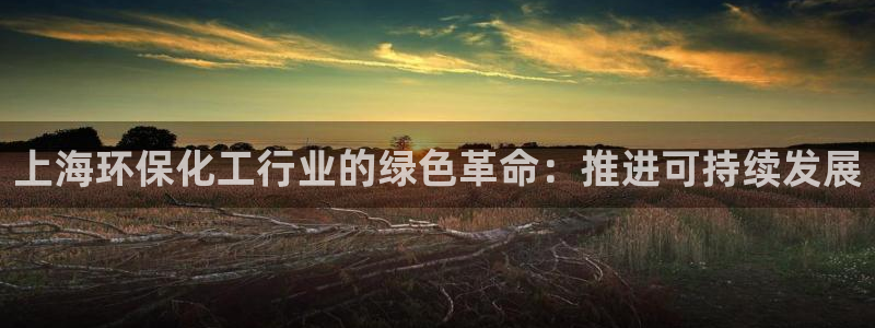 亿万先生手机版客户端下载安装：上海环保化工行业的绿色革命：推进可持续发展
