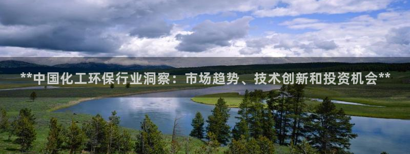 亿万先生合并网址是什么：**中国化工环保行业洞察：市场趋势、技术创新和投资机会**
