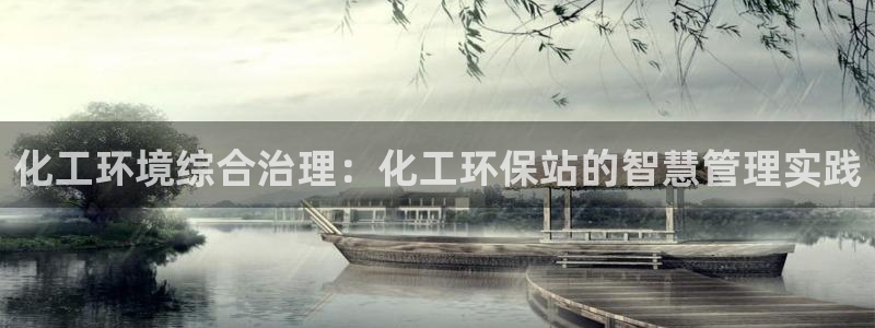 亿万先生网址改了吗：化工环境综合治理：化工环保站的智慧管理实践