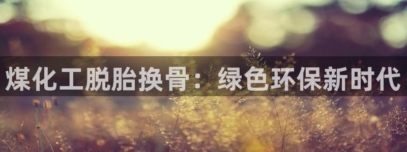 亿万先生网页版：煤化工脱胎换骨：绿色环保新时代